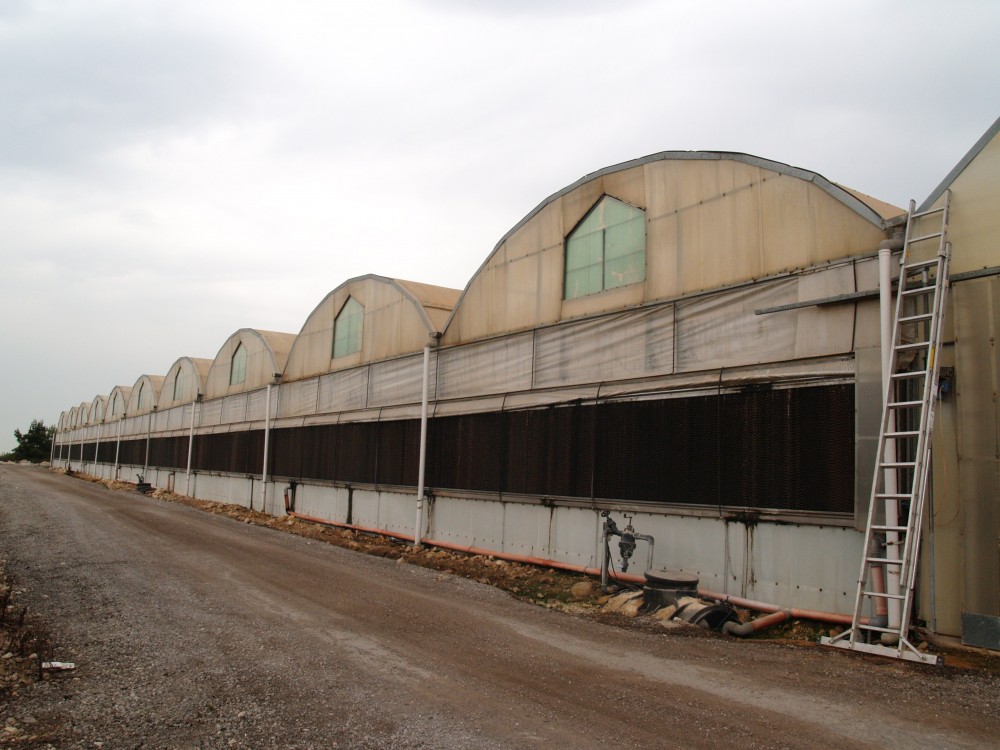 Moshav Shahar Greenhouses